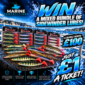 Sidewinder Bundle